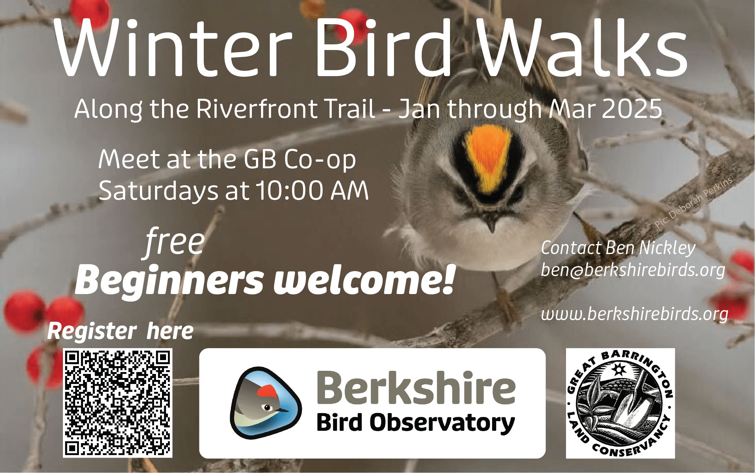 Winter Bird Walks every Saturday