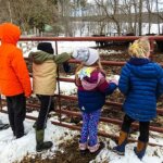 Enjoy a hike and maple sugaring with BNRC