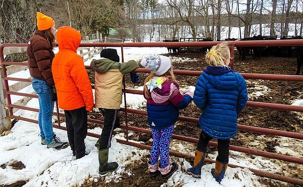 Enjoy a hike and maple sugaring with BNRC