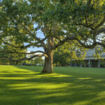 Romeo and Juliet at Tanglewood