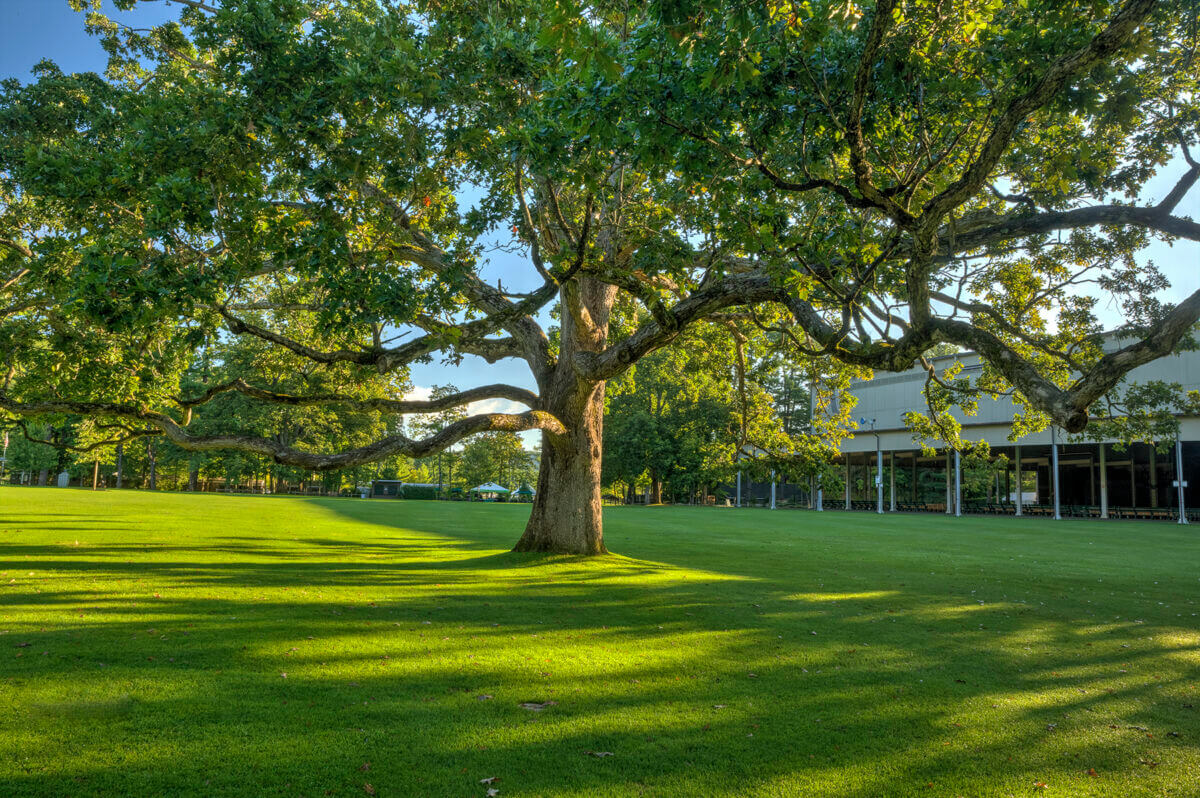 Romeo and Juliet at Tanglewood