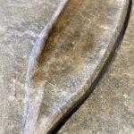River Street Paper Making