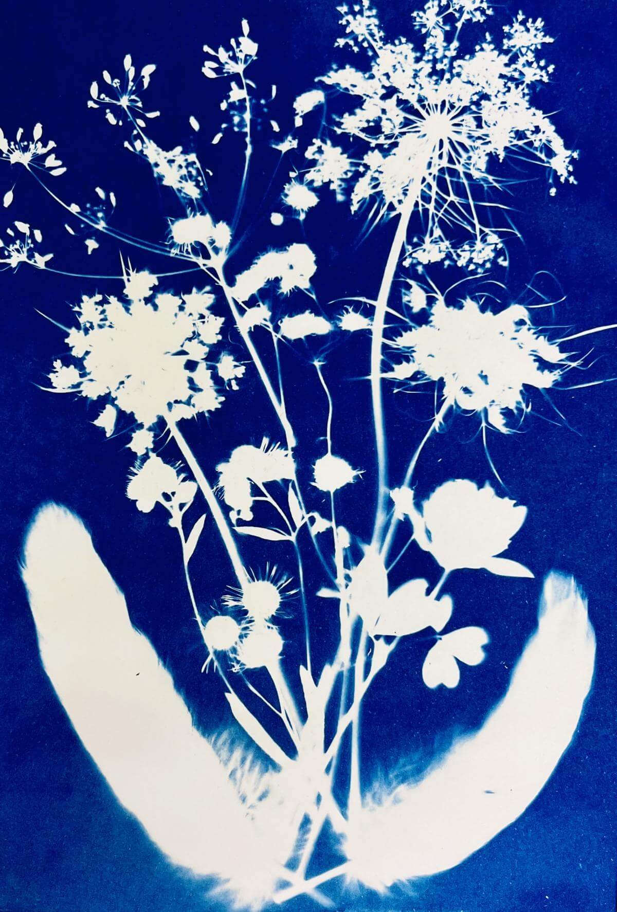 print making at the Milne library
