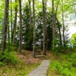 Sensing Nature at Clark Art outdoor program