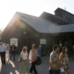 People stroll the grounds at Jacob's Pillow alumni day