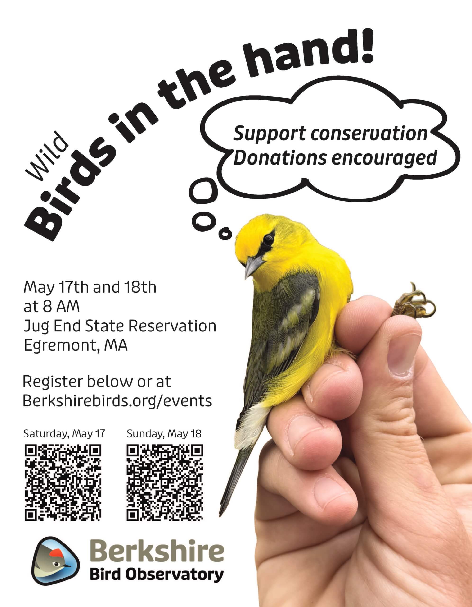 A yellow finch adorns the flyer for Berkshire Bird Observatory