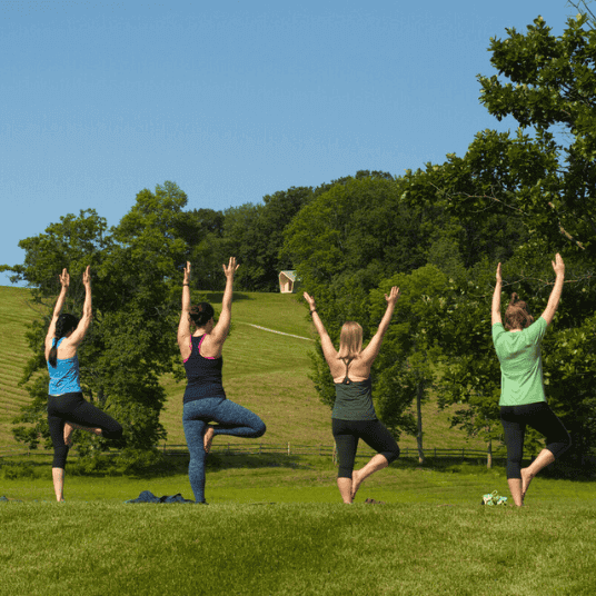 join this self-care series at Clark art
