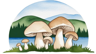 Celebrate all aspect of the mushroom