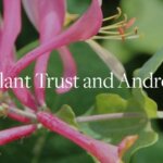 Visit neighboring gardens with BBG