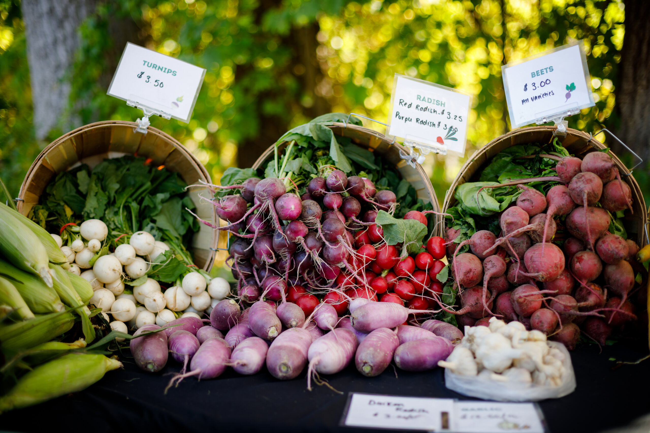 Berkshire Grown Mobile Farmers Market is beginning its third year