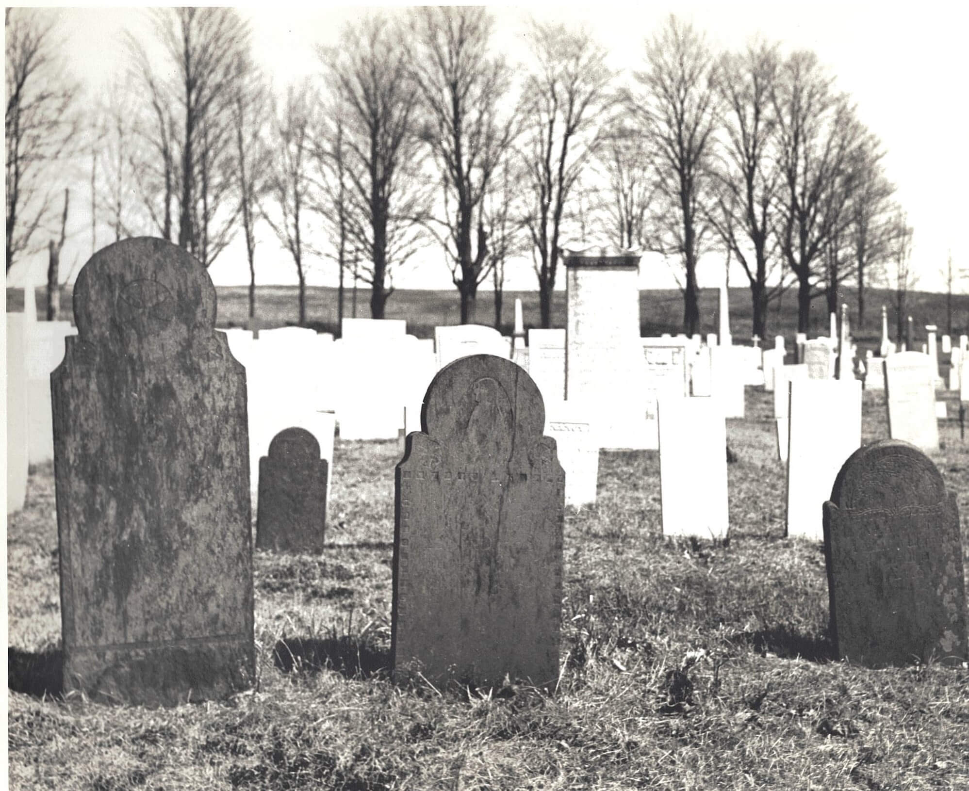 Walking tour in Pittsfield Cemetery