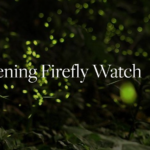 Enjoy and evening firely watch at Berkshire Botanical Gardens