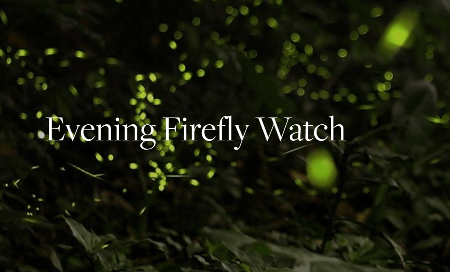 Enjoy and evening firely watch at Berkshire Botanical Gardens