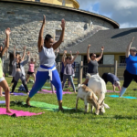 Take a goat yoga class at HSV