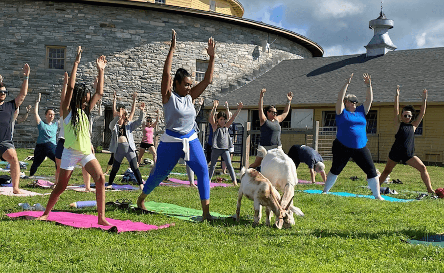 Take a goat yoga class at HSV