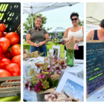 Visit the Pittsfield Farmers Market on Saturdays through October 11
