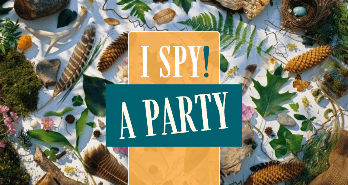 I Spy a Party at Norman Rockwell Museum