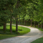 Walk the trails at The Mount