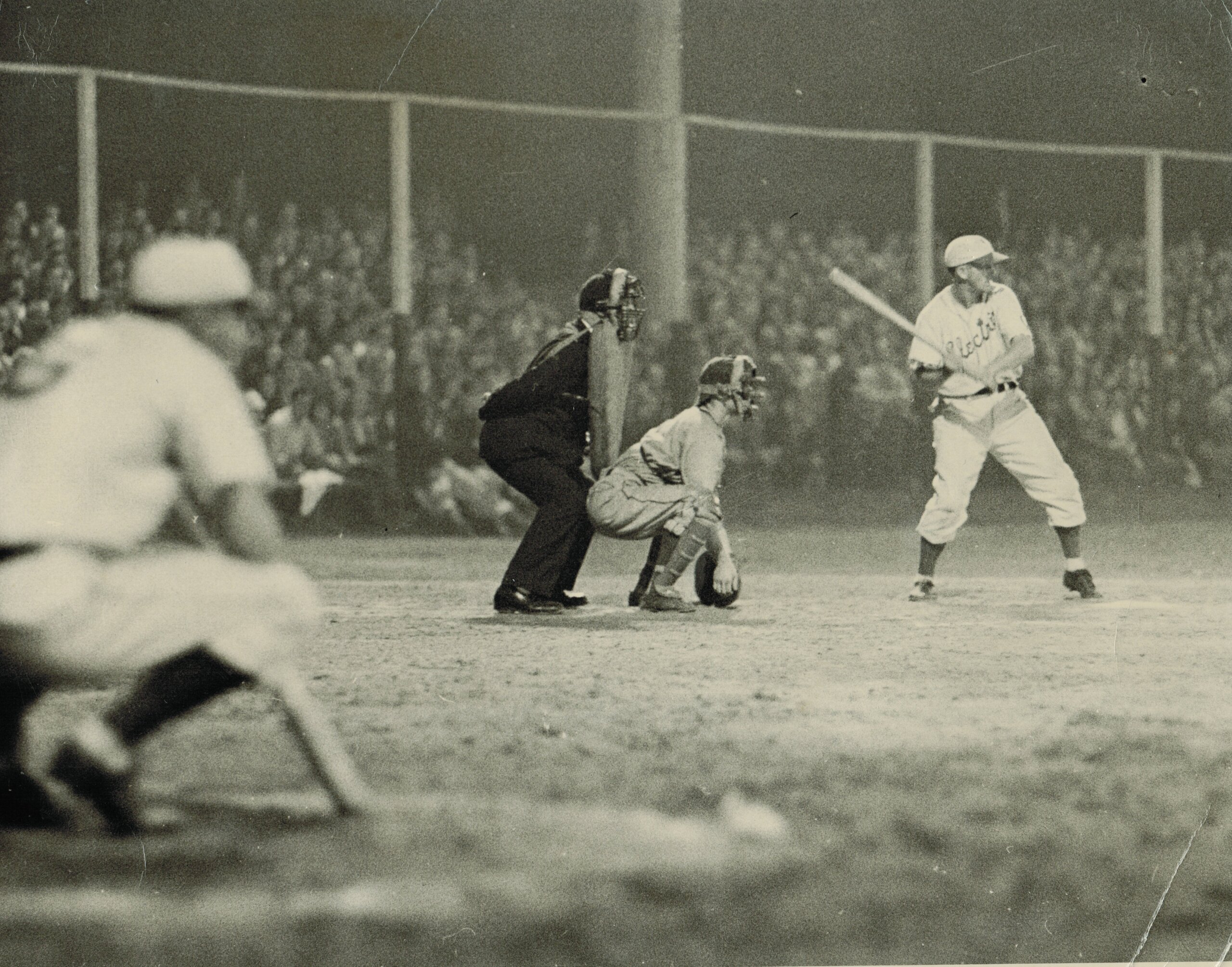 learn about the history of Wahconah Park