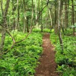 Tom Ball Mountain Reserve Opening Weekend