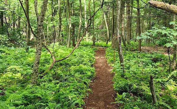 Tom Ball Mountain Reserve Opening Weekend