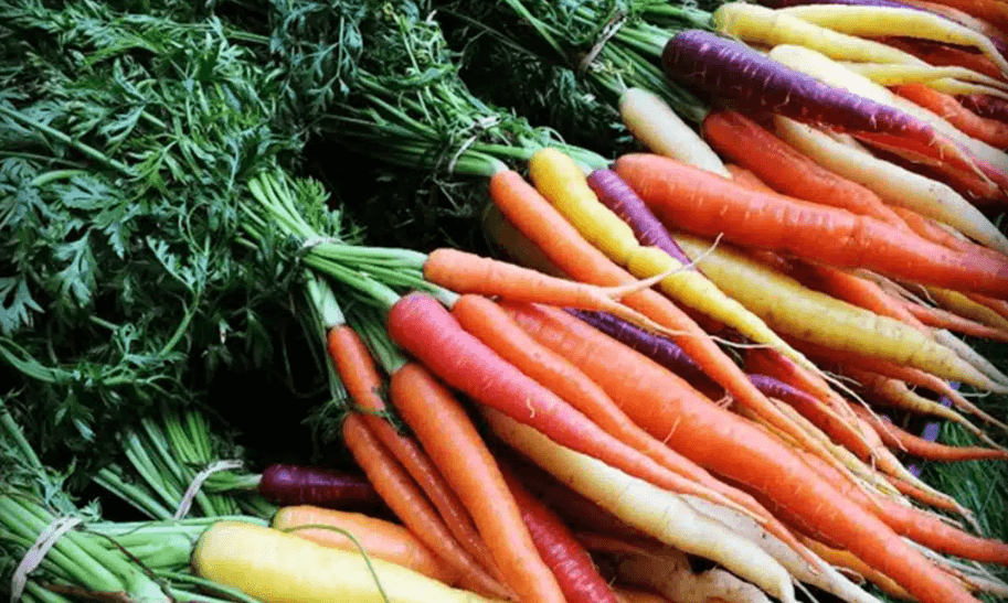 Enjoy a farm-to-table dinner at HSV