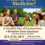 Enjoy a retreat with Berkshire Farm Sanctuary