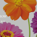 Visit the Grow Show at Berkshire Botanical Gardens