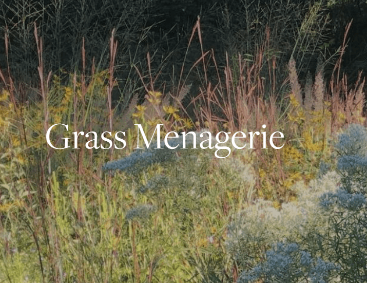 learn about the art of grass through BBG