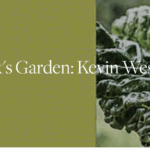 Join BBG for this cooking class