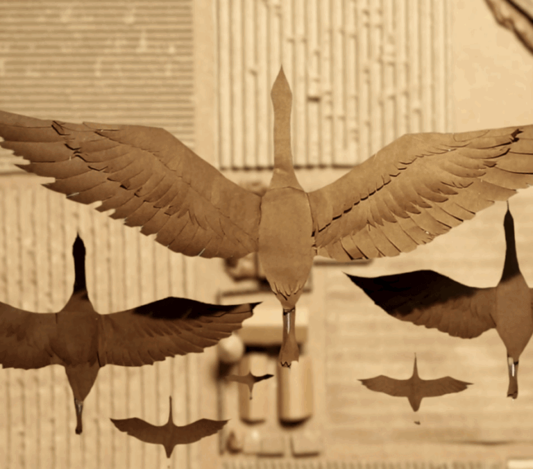 Robin Frohard at MASS MoCA