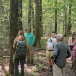 Tree identification walk at Kennedy Park