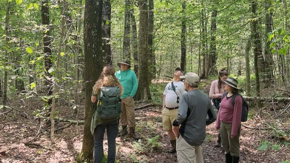 Tree identification walk at Kennedy Park