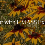 Join BBG for this walkabout with UMASS Extension