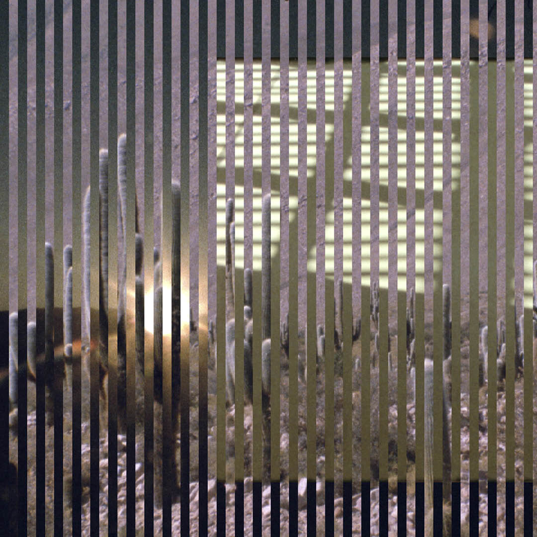 Experience Jimena Sarno's exhibit Rhapsody at MASS MoCA