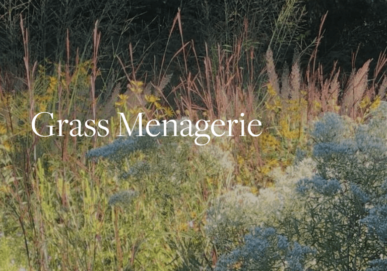 learn about planting and care of grasses