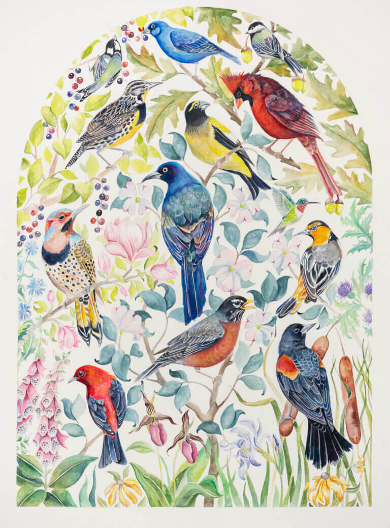 Backyard Birds of the Northeast 22 x 30 Watercolor on Paper Artist reception and exhibit tour at BBG