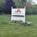 Berkshire Farm Sanctuary chocolate tasting
