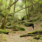 Join the hike up Ice Glen