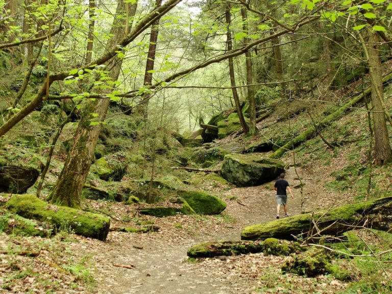 Join the hike up Ice Glen