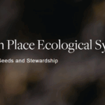 Rooted in Place BB Symposium