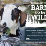 Barn to be Wild Holiday Exhibit at HSV