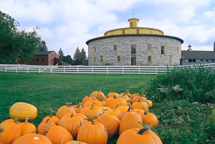 a bunch of pumpkins sit on the green lawn in front of the round barn at Hancock Shaker VIllage