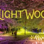 Visit NightWood for 2025