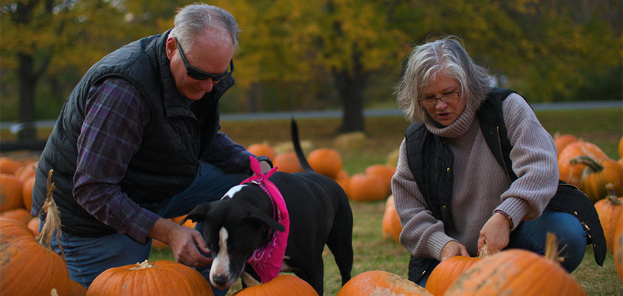 a man and woman look at pumpkins on a fall day with their dog