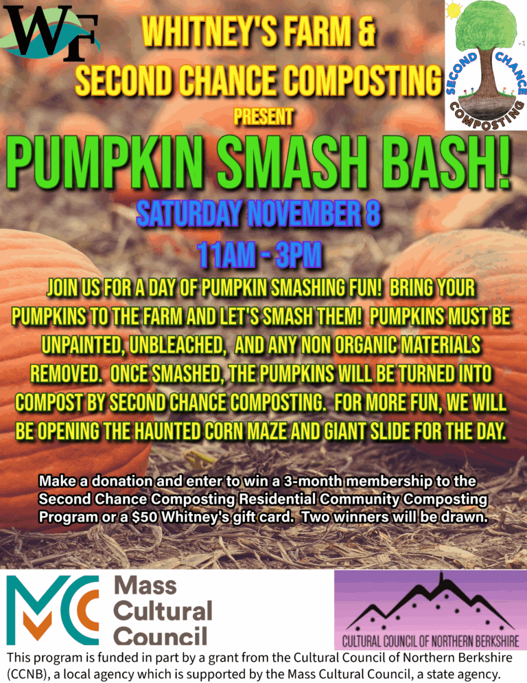pumpkin smash pumpkin smash at Whitney's Farm Market