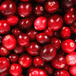 celebrate the cranberry workshop