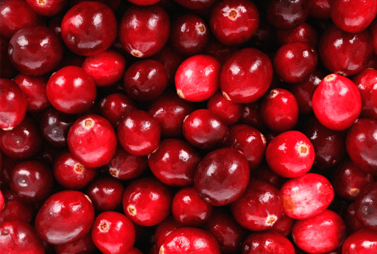 unnamed (77) celebrate the cranberry workshop