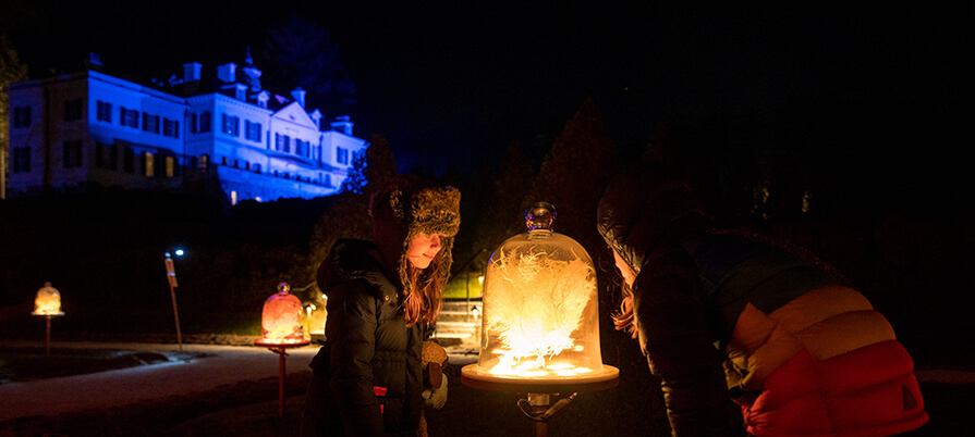 A child looks in at a lighted feature at The Mount's Nightwood exhibit