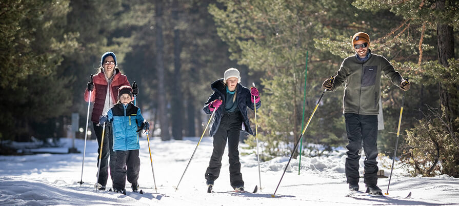 A family cross country skiis through the snowy Berkshire forest